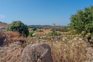 Il Sughereto In Vigna - 2