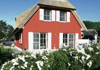 Ferienhaus Strandhafer - im Schwalzkiefernwald zwischen Ostsee und Bodden - Glowe - 9