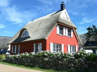 Ferienhaus Strandhafer - im Schwalzkiefernwald zwischen Ostsee und Bodden - Glowe - 0