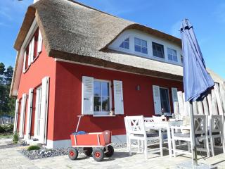 Ferienhaus Strandhafer - im Schwalzkiefernwald zwischen Ostsee und Bodden - Glowe - 8