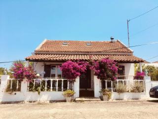 Casa Cao Verde Charmantes Landhaus mit Garten - São Domingos - 0