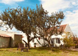 Casa Cao Verde Charmantes Landhaus mit Garten - São Domingos - 9