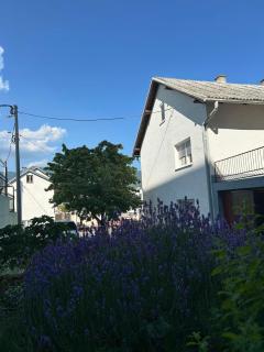 Guest House Olbina - Korenica - 3