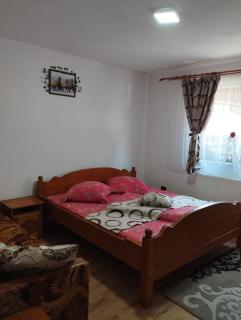 Cabana Dănuțza - 1