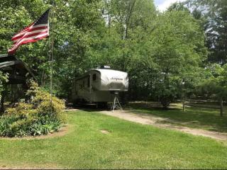 Rv Site 50amp Back-in up to 34Ft - Gaines - 2