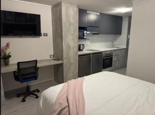 HT Espectacular Apto en Santiago 2 PAX - Santiago - 8