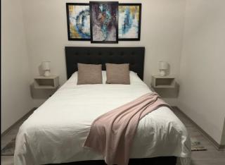 HT Espectacular Apto en Santiago 2 PAX - Santiago - 6