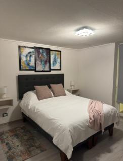 HT Espectacular Apto en Santiago 2 PAX - Santiago - 7