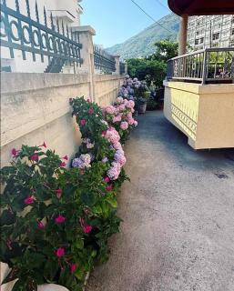 Apartmani590 - Šušanj - 7