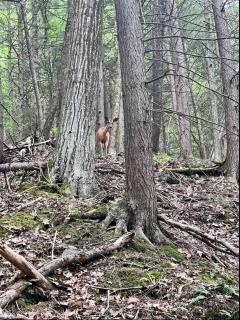 Full Hook up 30 Amp Site W Up to 26Ft - 4