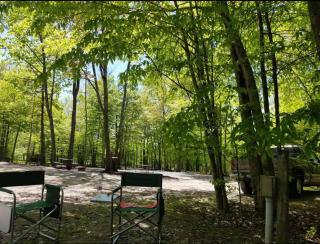 Water and Electric 30 Amp Pull through up to 24 Site ONLY - Gaines - 3