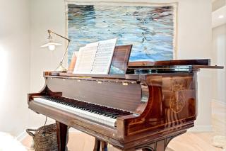 Kayaks & Sup's - Private Dock - Grand Piano - Kittery - 4