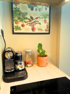 The belle de jour - 9