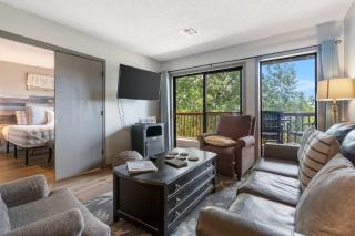 Black Bear Lodge - 1 Mile from Silver Dollar City - Reeds Spring - 9