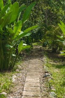 Bamboo River Lodge - Horquetas - 8