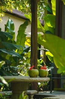 Bamboo River Lodge - Horquetas - 6
