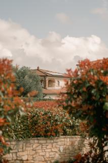 Villa Leopoldo by Istrian Country Houses - Barat - 9