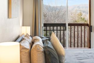 Silver Lake Hideaway - Chic 2 BDR Dog Friendly - Branson - 6