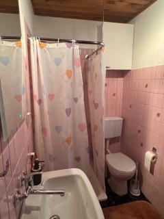 Chatka Poddębie - 5