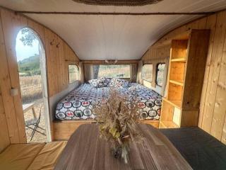 Lost Paradise - Cosy Wagon - Sabóia - 7