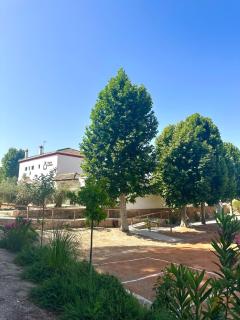 Molino de Búlar - 1