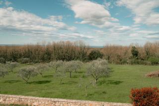 Villa Olivetta by Istrian Country Houses - Barat - 6