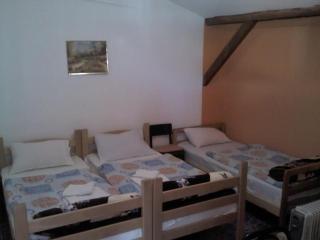 Prenociste Ruza - 9