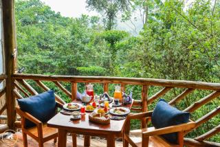 Kibale Tourist Safari Lodge - Bigodi - 3