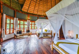 Kibale Tourist Safari Lodge - Bigodi - 4