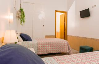 Aire Hostal en Los Alcores - El Viso del Alcor - 2