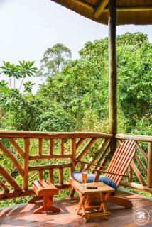 Kibale Tourist Safari Lodge - Bigodi - 6