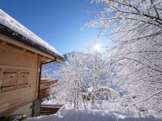 Coeur de Samance - Le Grand-Bornand - 5