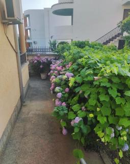 Apartmani590 - Šušanj - 8