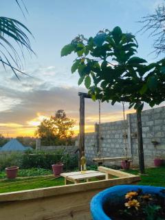 Lucky Monkey Lodge - Arusha - 5