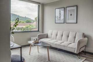 HT Acogedor Dpto en Temuco 3PAX - Temuco - 9