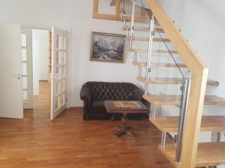 Best Location 3 Bedroom Apartment - Vilnius - 0