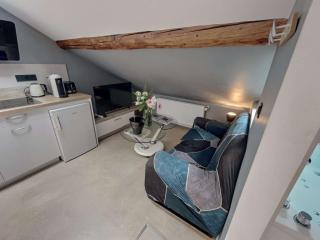 Nid bien-être sous les toits – Jacuzzi, Sauna et ambiance cocooning - Reims - 3