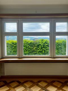 Charmante Villa mit Seeblick - Seengen - 7