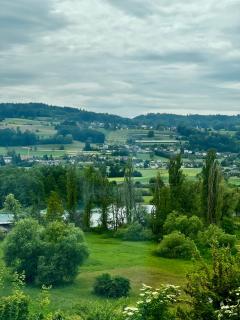 Charmante Villa mit Seeblick - Seengen - 3