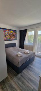 Small & Fine - Bad Elster - 3