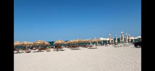 Nest By The Lake - Mamaia - 7