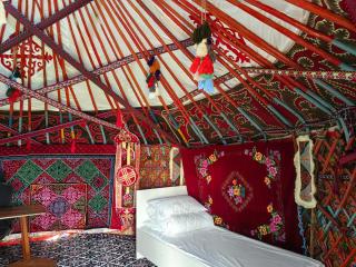 70 Years Old Yurt Experience Almaty - 8