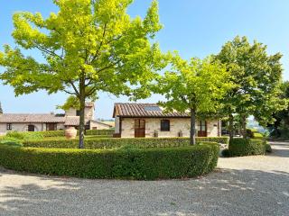 La Capannina - Colle di Val d'Elsa - 8