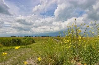 Kampeerhuisje met hottub - 6