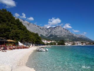 Apartment Ikovac - 1