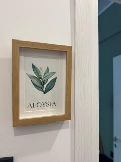 Botanya Rooms - Genua - 2