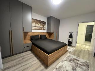 Art superior apartment - Kosovo Polje - 3