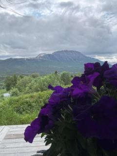 Private apartments!Oppdal Alpintun, Skisenter-Stølen - 1