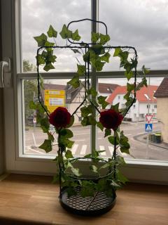 Rose Boardinghouse Zimmer mit Gemeinschaftsbad - Großbottwar - 7