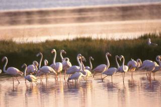 Two-Bedroom Apartment Rosolina Mare near Sea 12 - 6